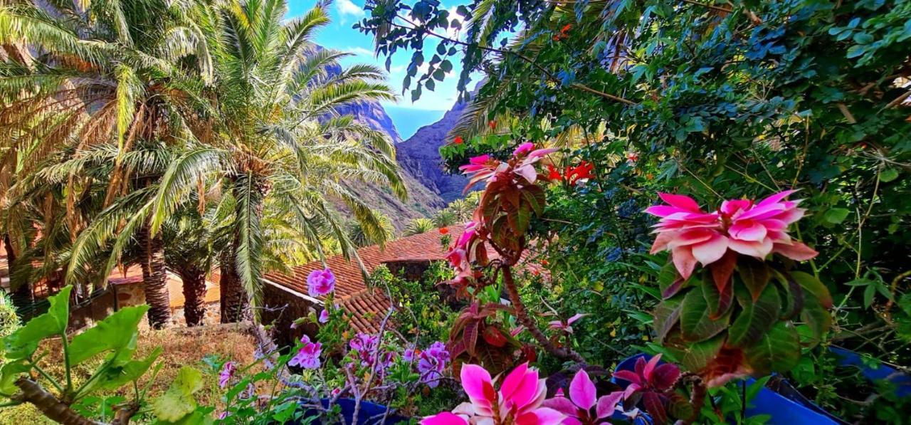 Paradise Tenerife San Miguel de Abona Extérieur photo